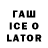 Конопля сатива Thefatebulletin