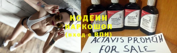 мескалин Ельня