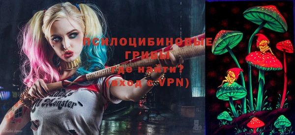 мескалин Ельня
